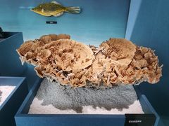 -中国湿地博物馆