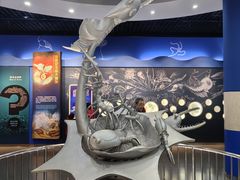 -国家自然博物馆