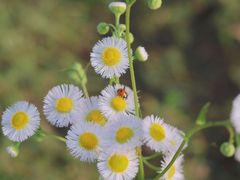 -上海滨江森林公园