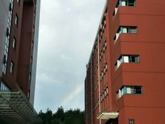 -上海市工商外国语学校
