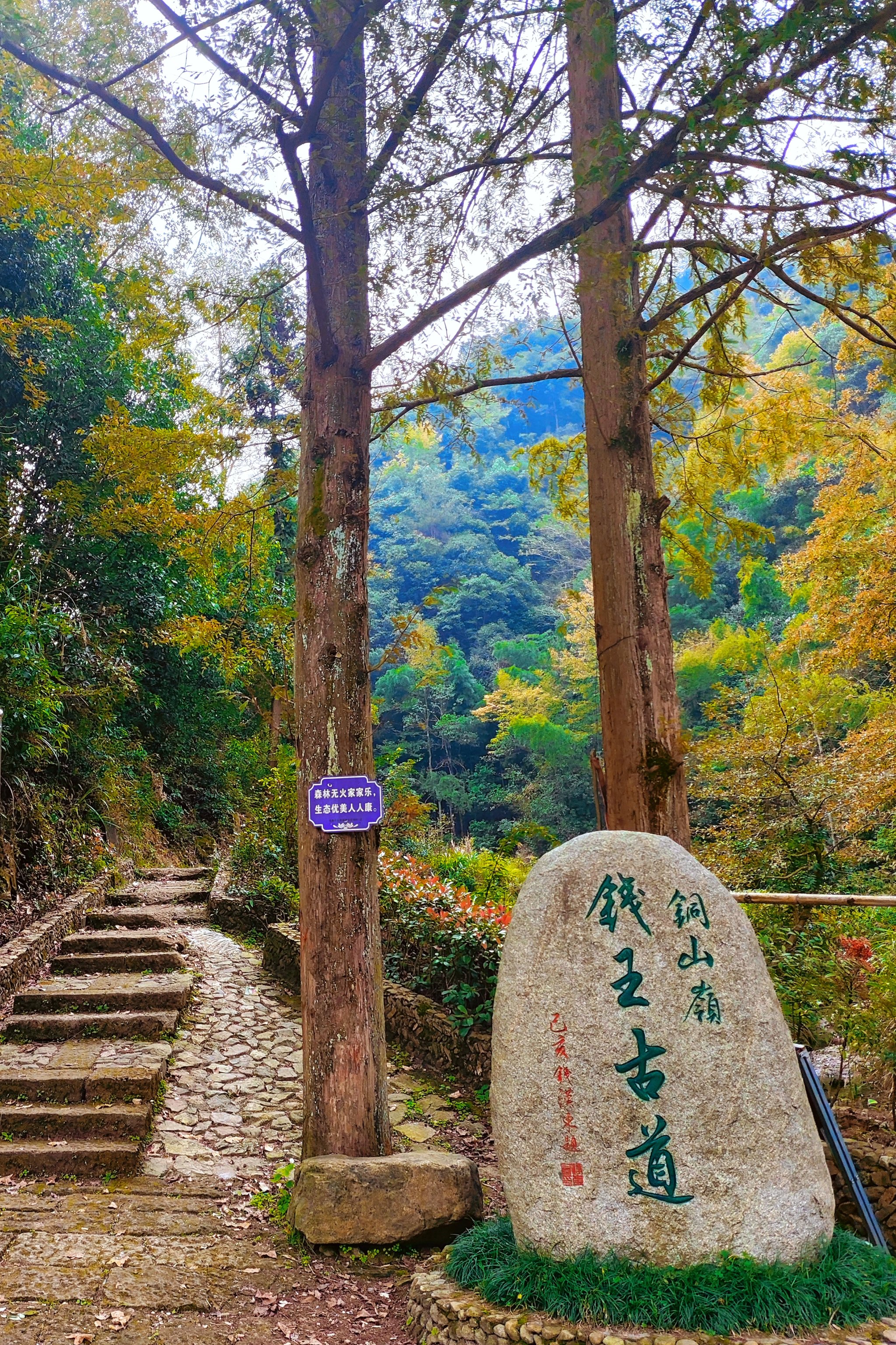 鹿寨山公园环山路图片