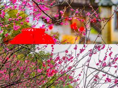 -婺源风景区