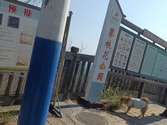 -攀枝花公园