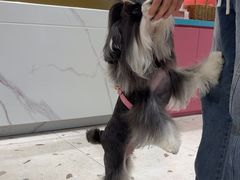 -FAELING PETS美天灵宠物(合生汇店)