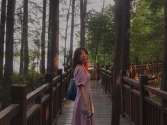 -东湖落雁景区