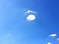 -江西景德镇玉田湖国家湿地公园