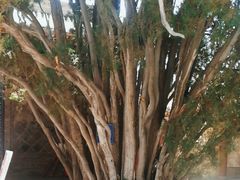 -鲁土司衙门旧址