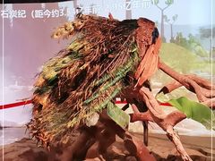 -正佳雨林生态植物园