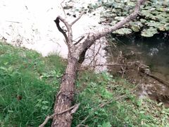 -祥源·阜阳生态乐园