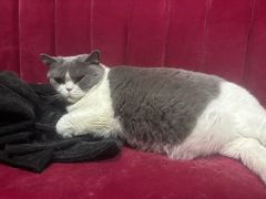 -暗楼·剧本杀·桌游