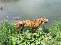 -新疆天山野生动物园