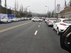 -枫香湖儿童公园