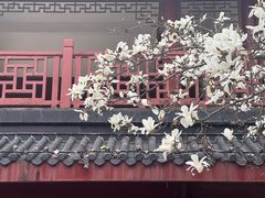 -堤角公园