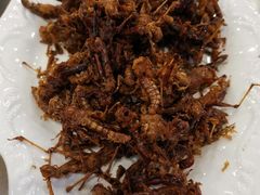 油炸蚂蚱-黄狗猪头肉(运河路店)