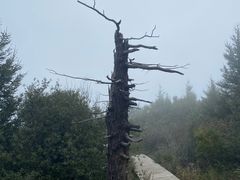 -白草畔自然风景区