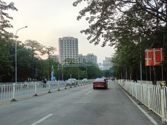 -广东花都湖国家湿地公园