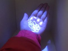 -敦煌石窟文物保护研究陈列中心
