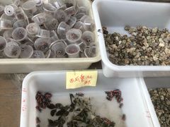 -中环花鸟鱼虫市场