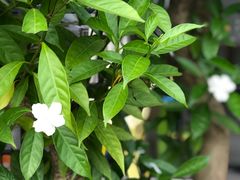 -NOTOOCAFE不二咖啡馆(岩前店)