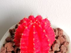 -聚串门儿·东北烧烤(信义坊店)