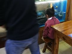 -浔味·山屿湖·正宗淳牌全鱼宴老字号