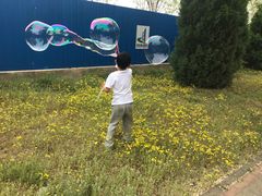 -永定河休闲森林公园