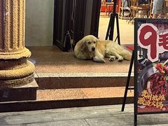 -黔哆哆地摊酸汤火锅(清湖店)