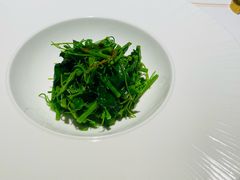 -觀芷隐轩