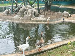 -吉隆坡雀鸟公园