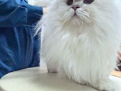 -联合动物医院(光谷诊疗中心)