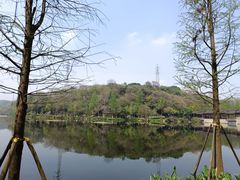 -重庆彩云湖湿地公园