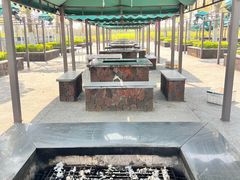 -春花秋色城市公园