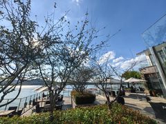 -望海·帆船主题咖啡厅•品茗下午茶(石湖景区店)