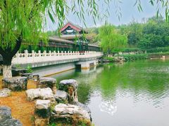 -北宫国家森林公园