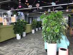 -田螺阿姨自营月嫂·育儿嫂(高新店)