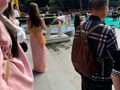-西双版纳原始森林公园