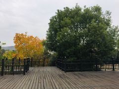 -石塘人家