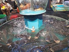 -魏铭鱼头捞饭(晋阳路店)