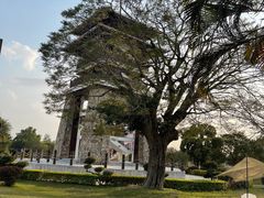 -大湾区中央湿地公园