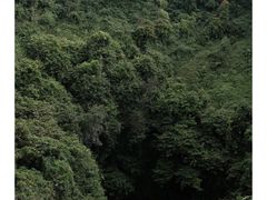 -海口火山口国家地质公园