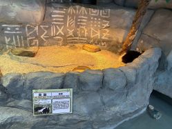 -Zoolung Zoolung动物主题公园(海信广场店)