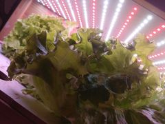 -满堂欢豆捞坊(美丽华大酒店店)
