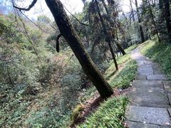 -杭州半山国家森林公园