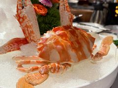 潮州冻红蟹-潮府馆·非遗潮州菜·世纪公园(新国际博览中心店)