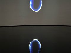 -中国湿地博物馆