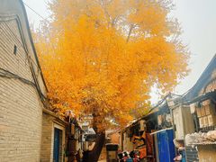 -煮叶(悠唐广场店)