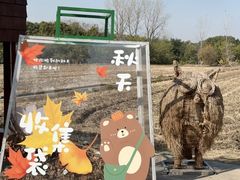 -嘉北郊野公园
