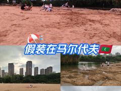 -青枫公园