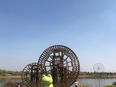 -金卉庄园