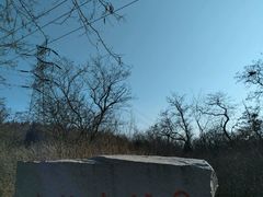 -水池山公园